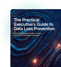 The Practical Executive’s Guide to Data Loss Prevention