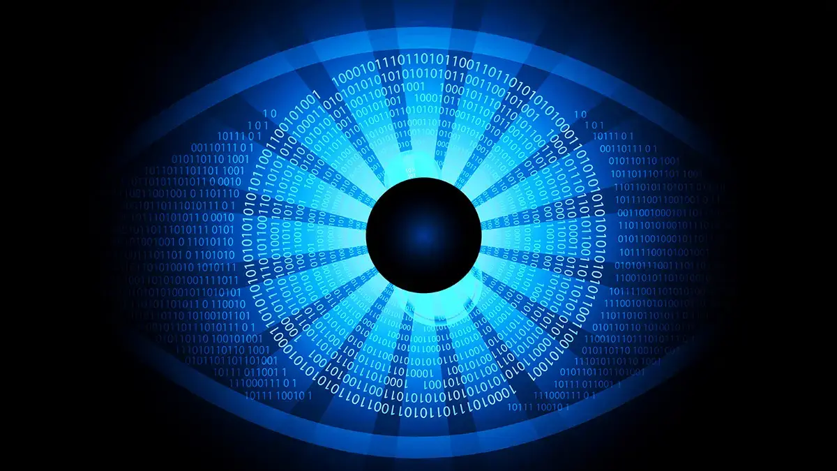 see-everything, miss-nothing