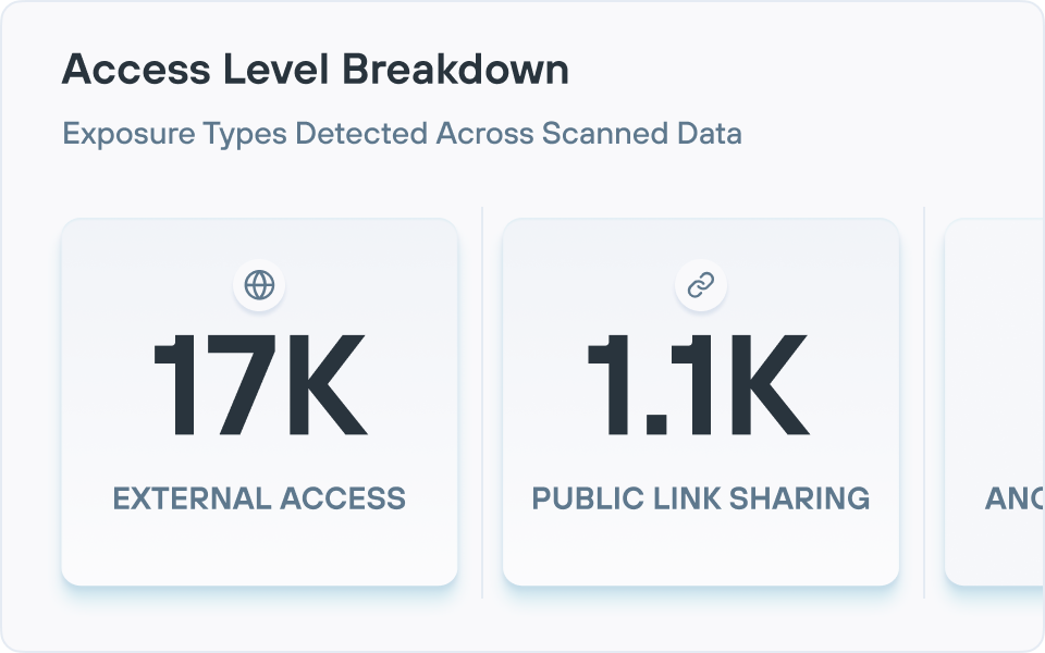 Example of access level breakdown by exposure types detected across scanned data