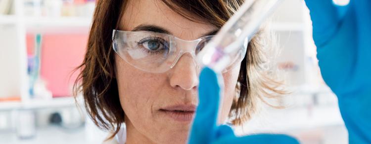 Joint Network Center (GNZ)